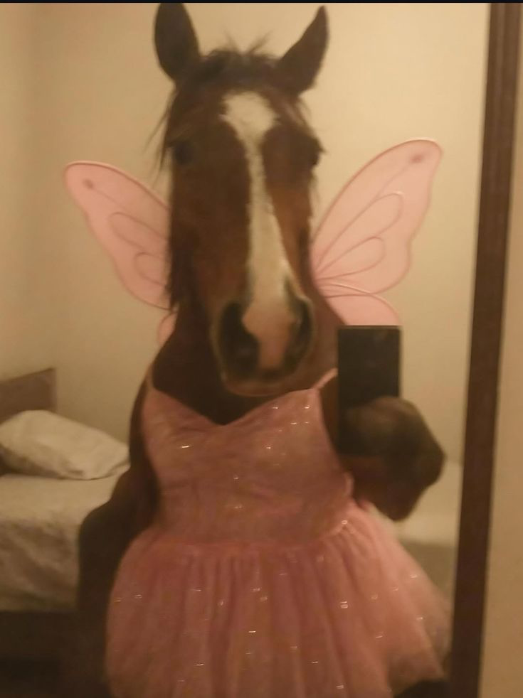 Horse in a fairy dress
