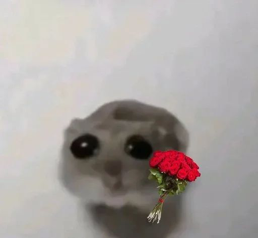 Sad hamster holding roses for you